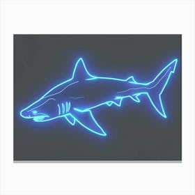 Aqua Hammerhead Shark 6 Canvas Print