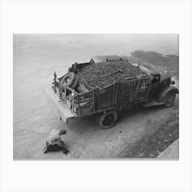 Untitled Photo, Possibly Related To Unloading Gravel To Be Used In Mine Building Construction, Ouray County Canvas Print