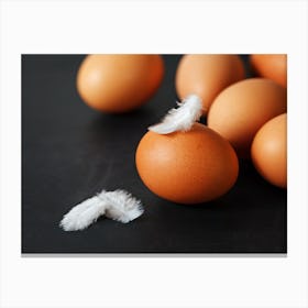 White Feathers On Eggs Canvas Print