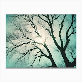 Silhouette Of Bare Tree Branches Against A Turquoise Sky With The Sun Shining Through Canvas Print