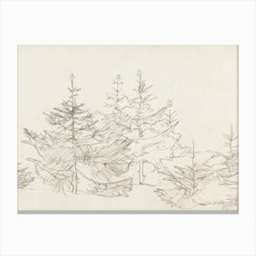 Vintage Tree Sketch Canvas Print