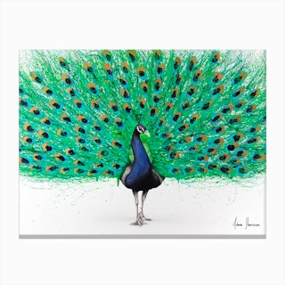 Proud Peacock Canvas Print