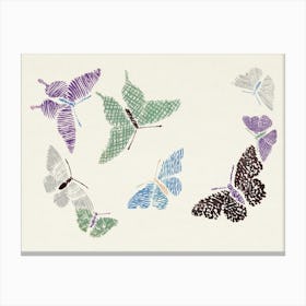 Vintage Butterfly, Cho Senshu (3) Canvas Print