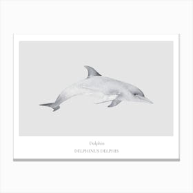 Dolphin Print Canvas Print