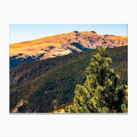 Pine Tree In The Mountains 202304171256284pub Canvas Print