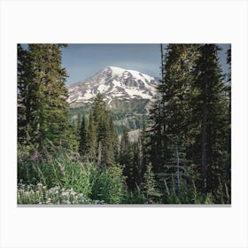 The Path To Heaven - Mount Rainier National Park Canvas Print