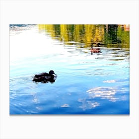 Ducks In The Water Canvas Print