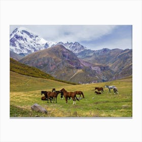 Georgian Mountains 4 Canvas Print