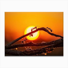 Ant Colony Cooperating Harmoniously Silhouetted Against A Radiant Sunset Amber And Crimson Hues Me (3) 2 Canvas Print