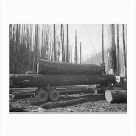 Loading Logs Onto Truck For Transportation To Mill, Gyppo Logging Operations, Tillamook County, Oregon Canvas Print