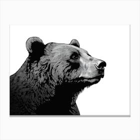 Black & White Grizzly Bear Portrait Canvas Print