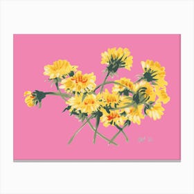 Yellow Dandelions On Pink Canvas Print
