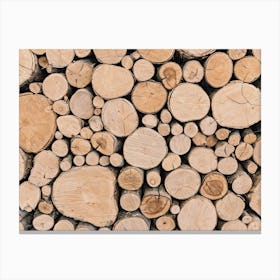 Firewood Pile Canvas Print