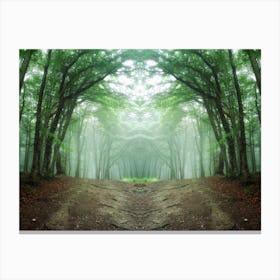 Forest Path Canvas Print