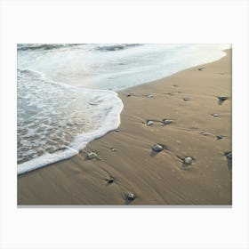 Gentle waves meet the sandy beach Canvas Print