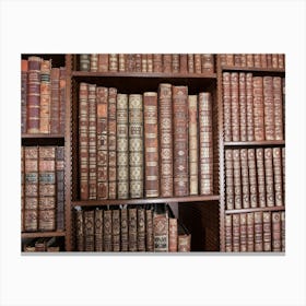 Library Old Vintage Books Canvas Print
