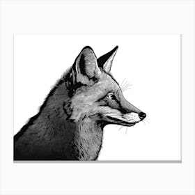 Black & White Fox Portrait Canvas Print