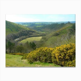 Valley Of The Yellow Flowers Canvas Print