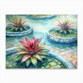 7 Bromeliads With Water Pools At Their Center (1) Canvas Print