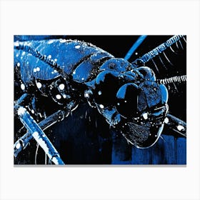 Blue Ant Canvas Print