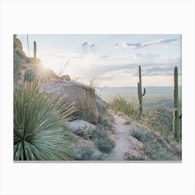 Desert Hiking Trail Canvas Print