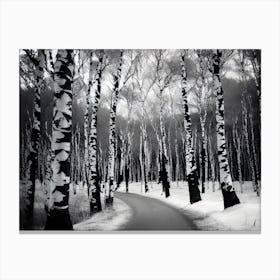 Birch Trees In Winter 3 Canvas Print
