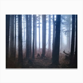 Forest Dreamland - Pacific Northwest Nature Canvas Print