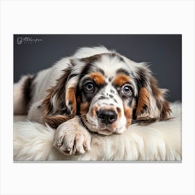 English Spaniel Puppy Lying On Soft White Fur In A Closeup Portrait Adorned With A Gold Collarcol (5) Toile