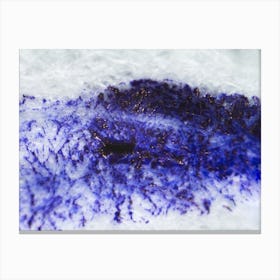 Dripping Blue Ink On Paper Under The Microscope 1 Canvas Print