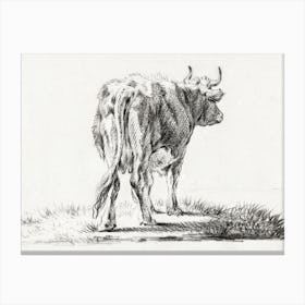 Standing Cow 2, Jean Bernard Canvas Print