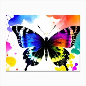 Colorful Butterfly 15 Canvas Print