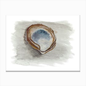 Oyster Shell in brown Canvas Print