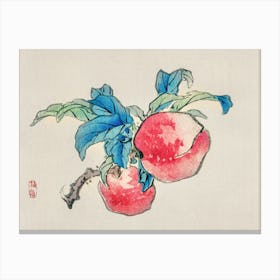 Peaches On A Branch Canvas Print