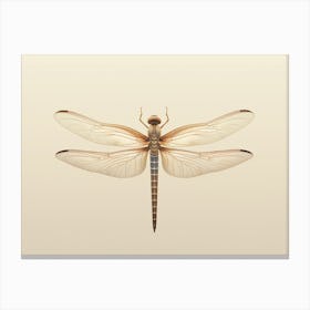 Dragonfly Common Whitetail Plathemis Illustration Vintage Simple Jpeg Canvas Print