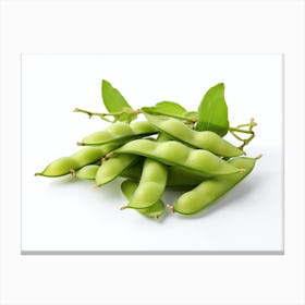 Soy Beans 1 Canvas Print