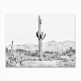 Vintage Cactus Landscape Canvas Print