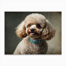 Portrait Of A Poodle 1 Canvas Print