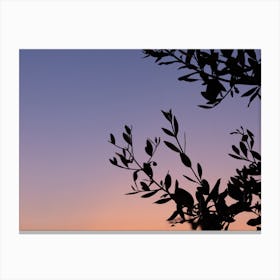 Olive tree at sunset | Tropical Summer | Italy Canvas Print