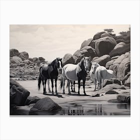 A Horse Oil Painting In Boulders Beach, South Africa, Landscape 3 Canvas Print