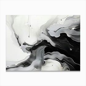 Fluid Dynamics Abstract Black And White 7 Canvas Print
