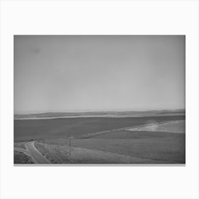 Wheat Land, Eureka Flats, Walla Walla County, Washington By Russell Lee Canvas Print