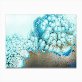 Moonlit Reef Canvas Print