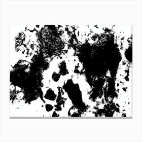 Black And White Paint Splatter Canvas Print