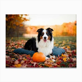 Autumnal Backdrop Transitioning Into Winter An American Border Collie Sits On A Bed Of Fallen Leave (2) Canvas Print