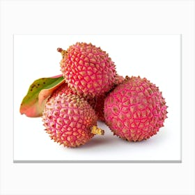 Lychee Fruit 16 Canvas Print