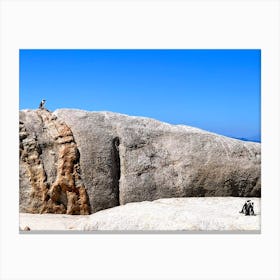 Chief Penguin On A Rock, Cape Town (Africa Series) Canvas Print