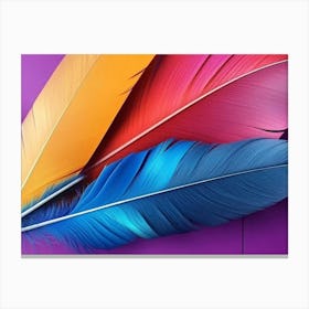 Colorful Feathers 5 Canvas Print