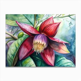 Passion Flower Canvas Print