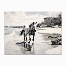 A Horse Oil Painting In Tulum Beach, Mexico, Landscape 4 Canvas Print