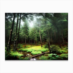 Forest In The Mist 1 Canvas Print